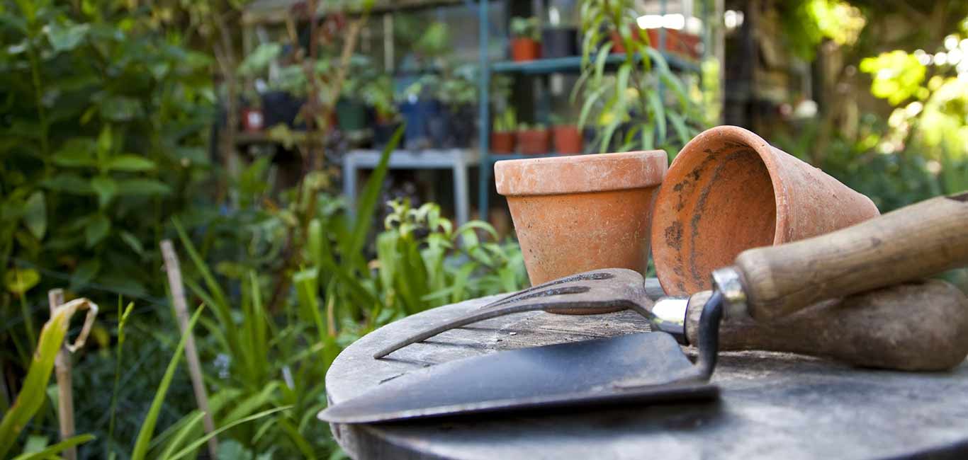 Barnsdale Gardens, Oakham in Rutland. Britains largest collection of individually designed gardens. Tea Rooms and Plants Nursery.